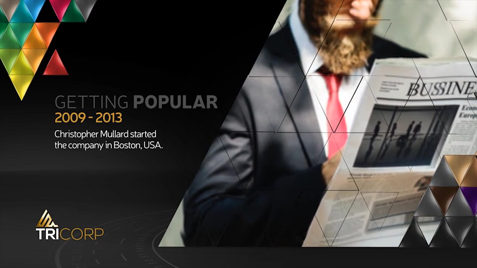 3D Triangle Concept Corporate Profile Videohive 21482481 After Effects Image 8