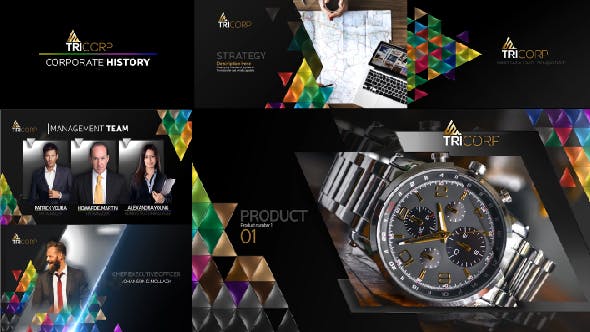 3D Triangle Concept Corporate Profile - Videohive 21482481 Download