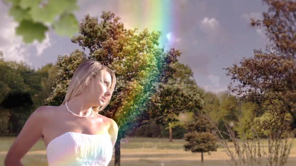 3D Wedding slideshow - Download Videohive 3763588