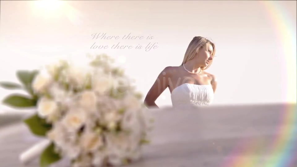 3D Wedding slideshow - Download Videohive 3763588