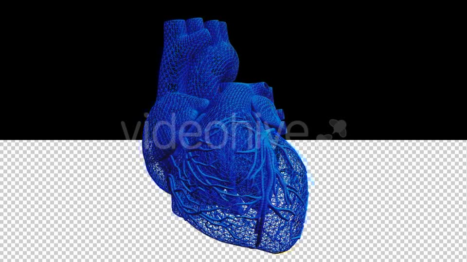 3D Wired Human Heart - Download Videohive 20902738