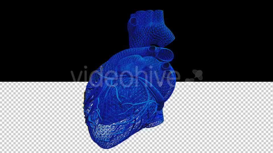 3D Wired Human Heart - Download Videohive 20902738
