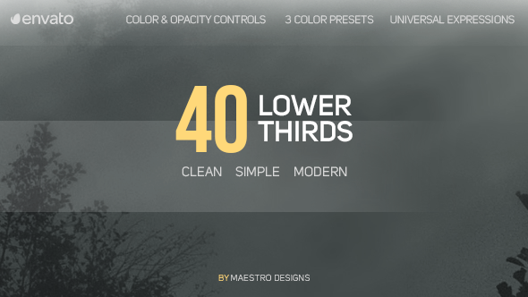 40 Lower Thirds - Download Videohive 18603986