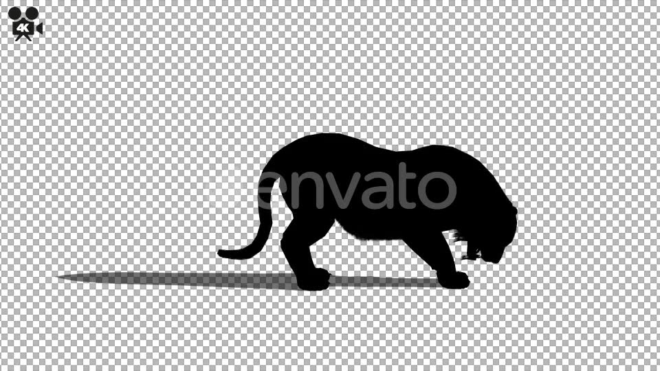 4K Tiger Eat Silhouette - Download Videohive 21721497