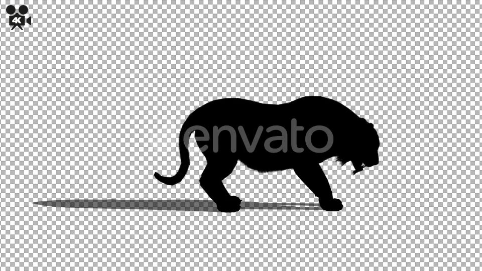 4K Tiger Eat Silhouette - Download Videohive 21721497