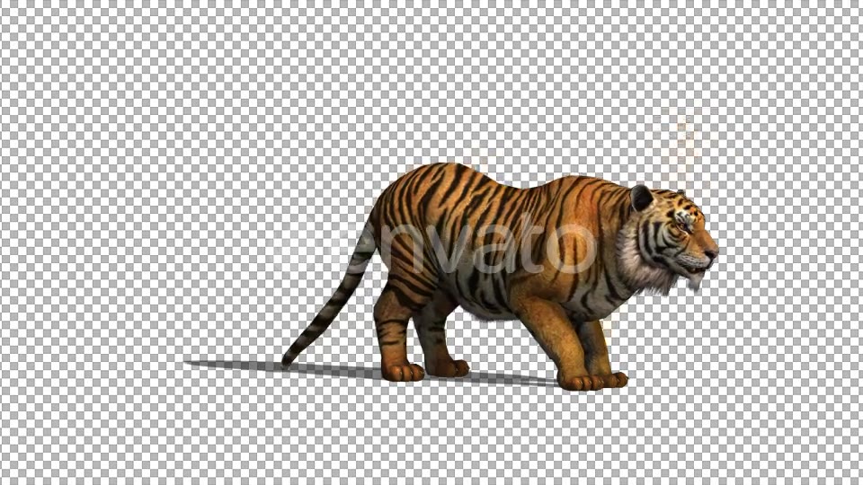 4K Tiger Howl Animation - Download Videohive 21695869