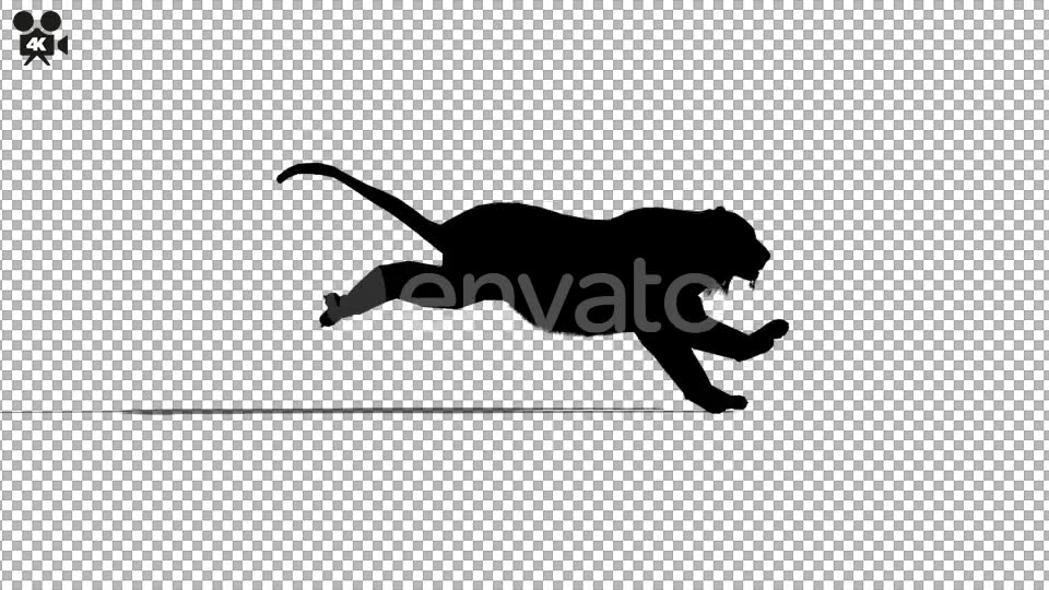 4K Tiger Run Silhouette - Download Videohive 21721538