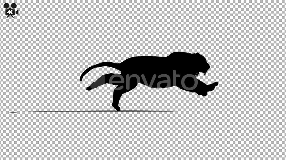 4K Tiger Run Silhouette - Download Videohive 21721538