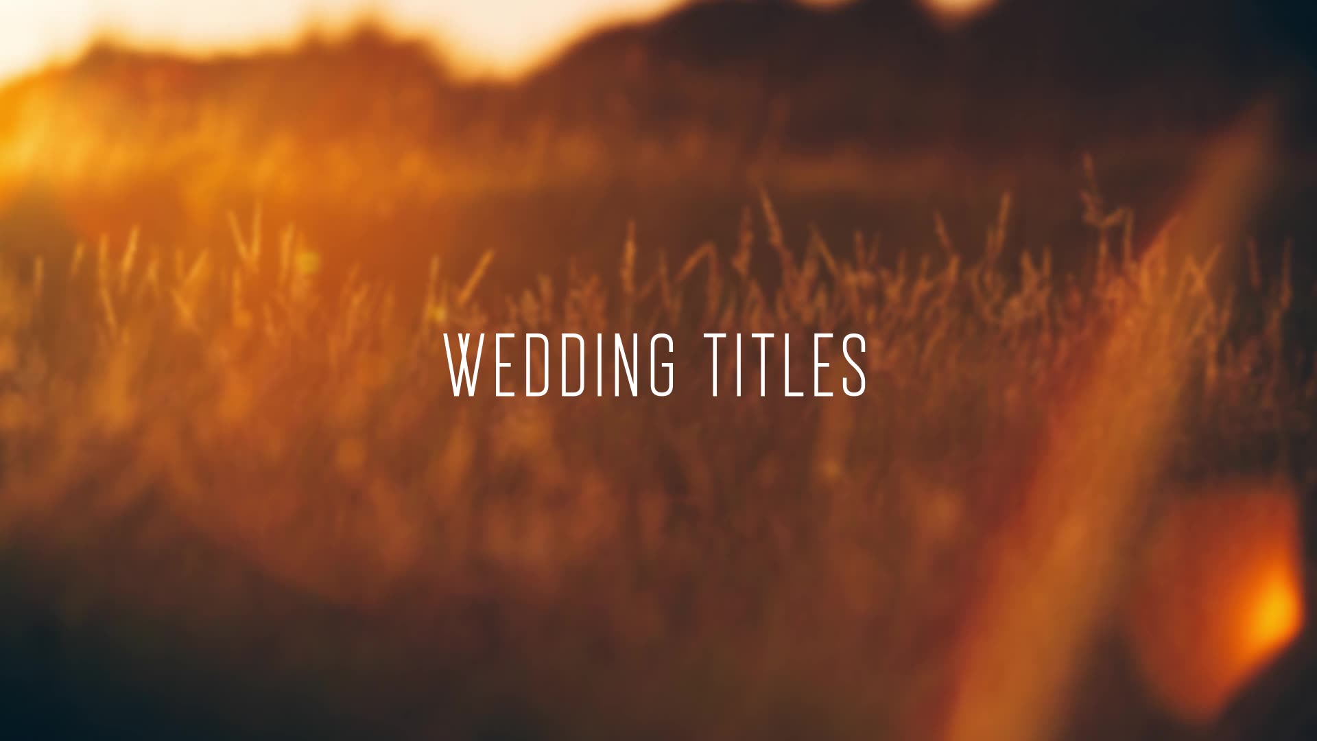 50 Wedding Titles Videohive 23195625 After Effects Image 3