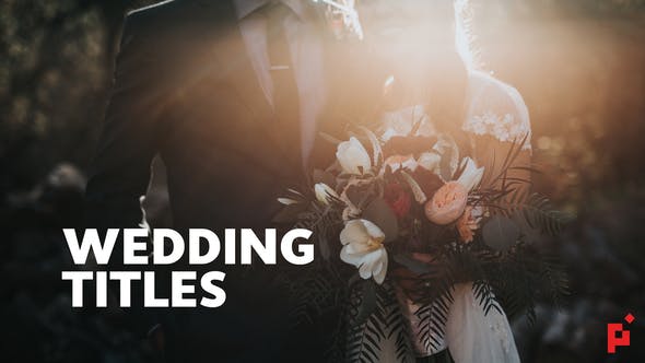 50 Wedding Titles - Download 23195625 Videohive