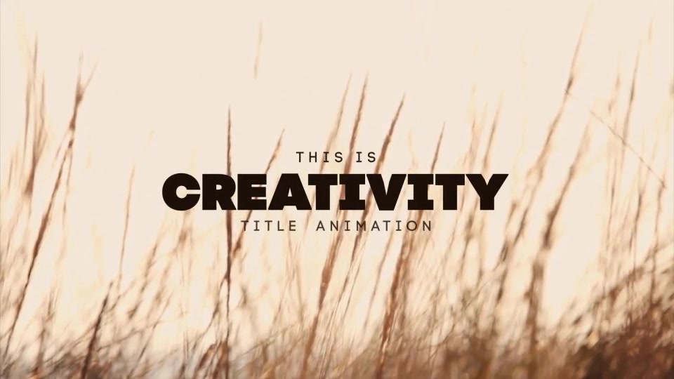 60 Stylish Title Animations - Download Videohive 10935757