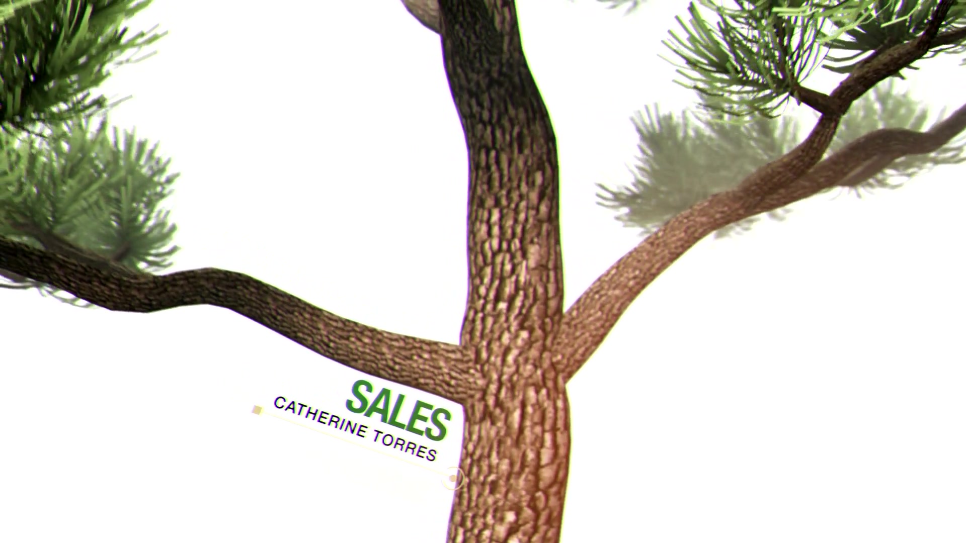 About Us Bonsai Tree Videohive 20516636 After Effects Image 3
