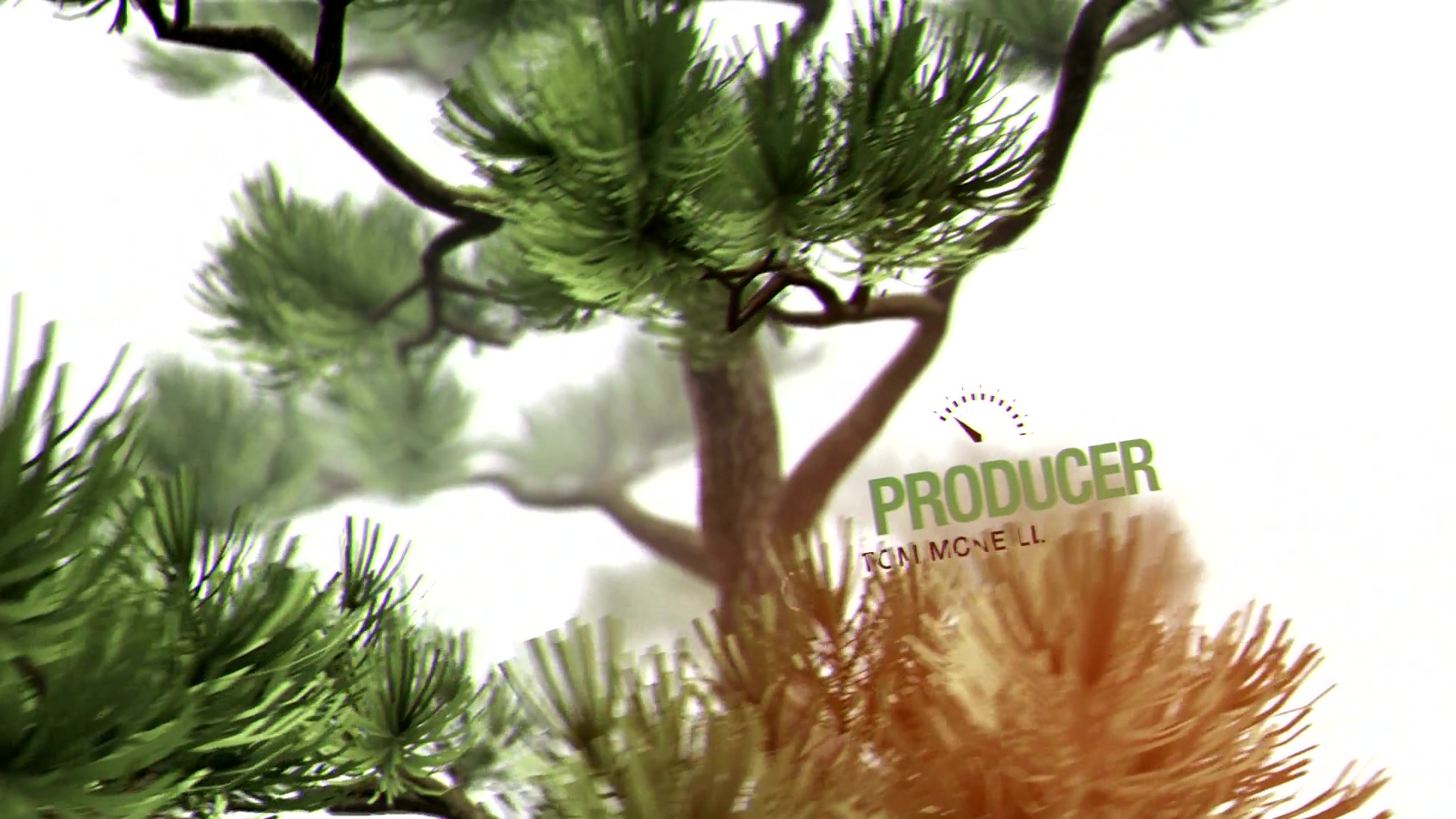 About Us Bonsai Tree Videohive 20516636 After Effects Image 4