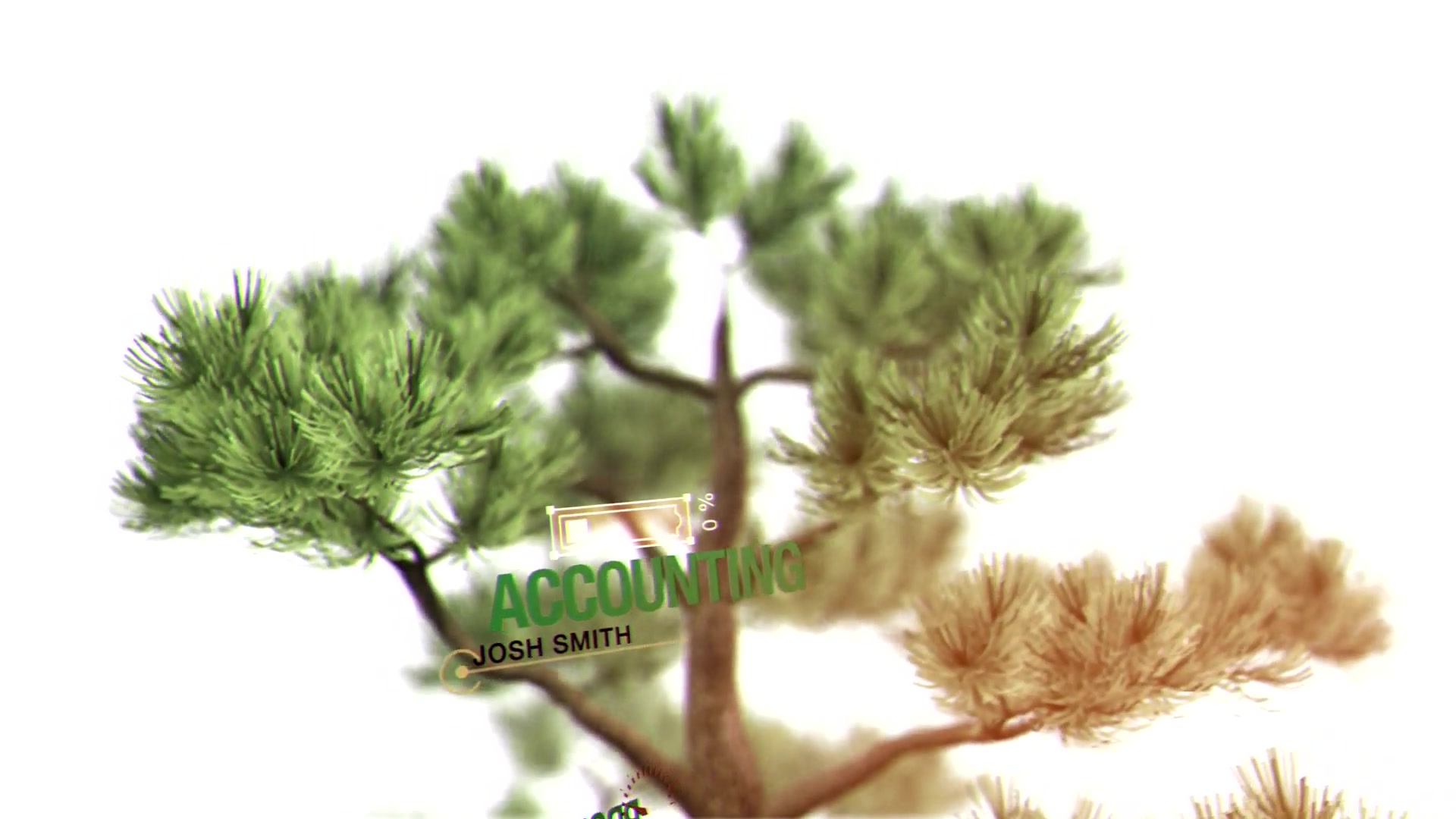 About Us Bonsai Tree Videohive 20516636 After Effects Image 5