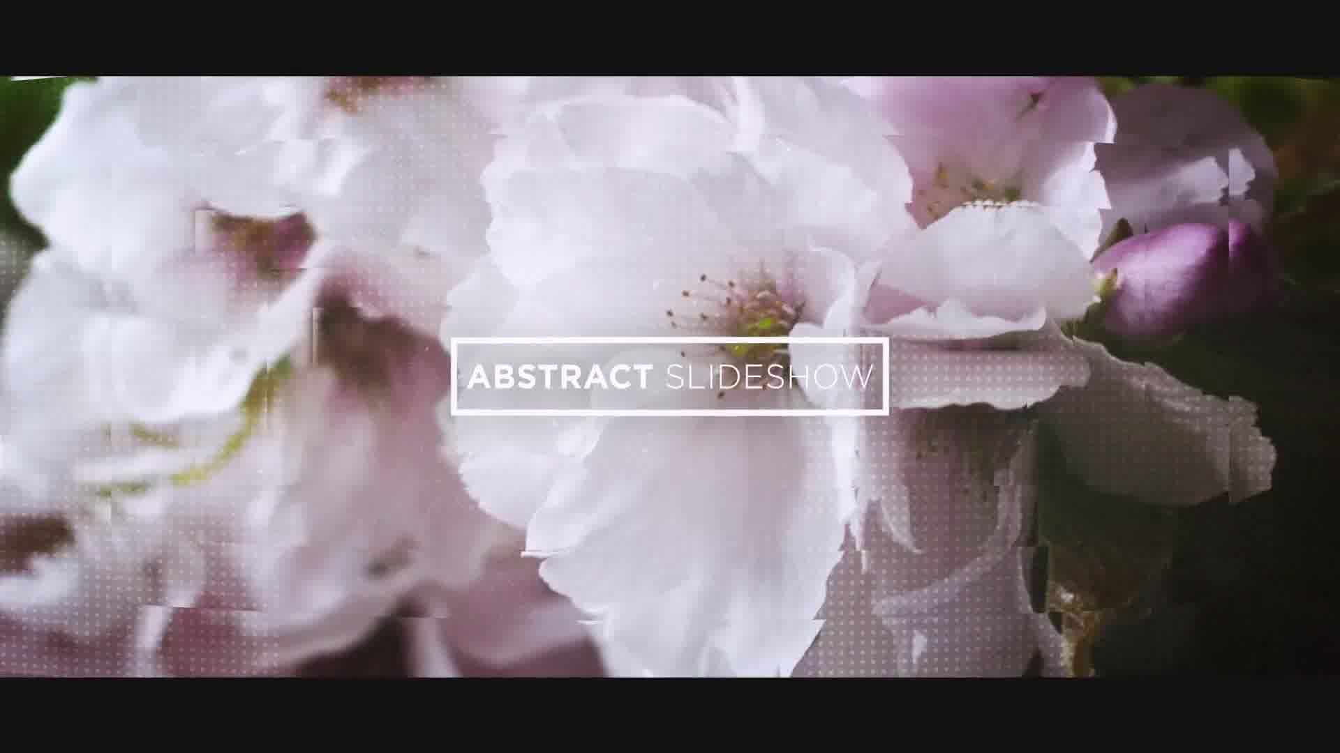 Abstract Slideshow Videohive 19520550 After Effects Image 11