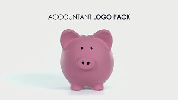 Accountant Logo Pack - Download Videohive 14788692