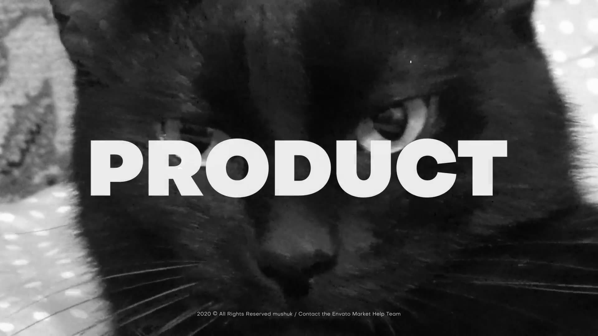 Action Typography Promo Videohive 29699130 After Effects Image 3