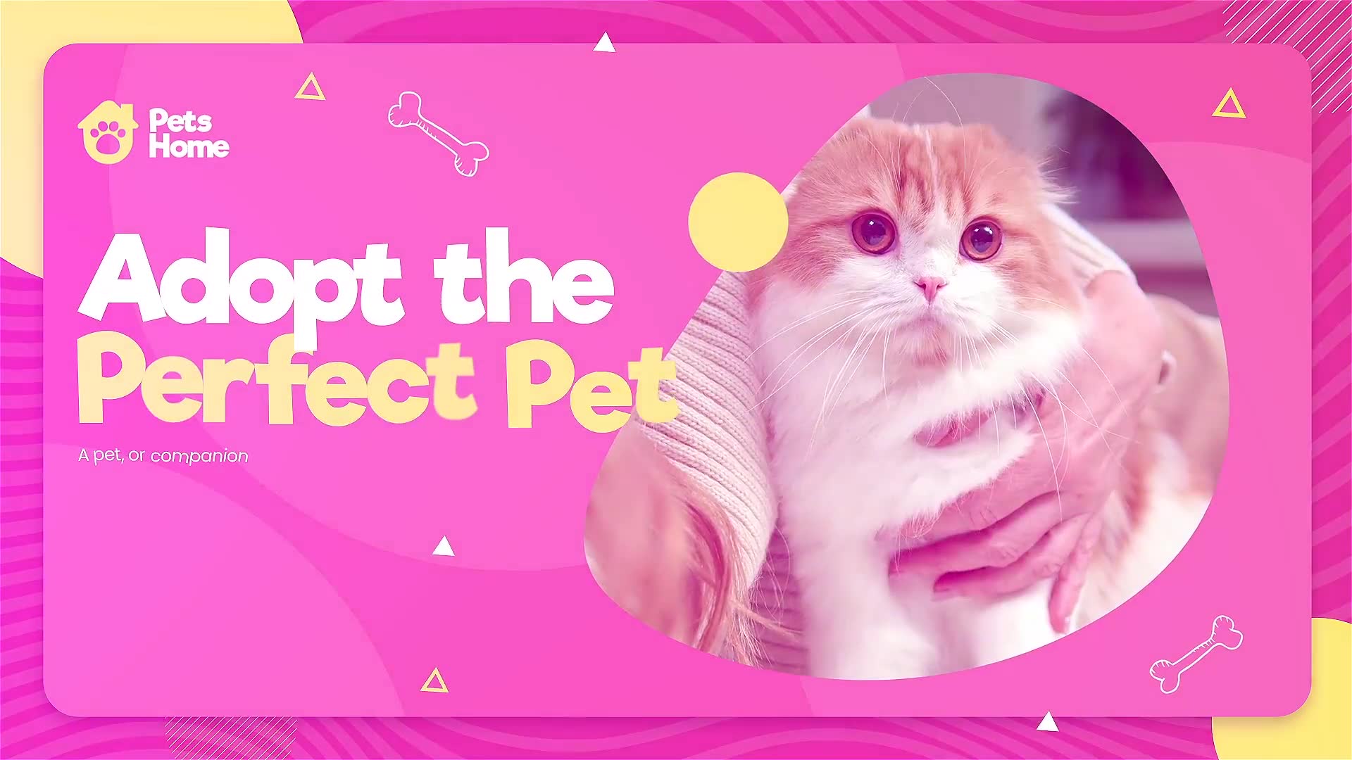 Adopt Me | Pet Promo Videohive 33212319 Premiere Pro Image 2