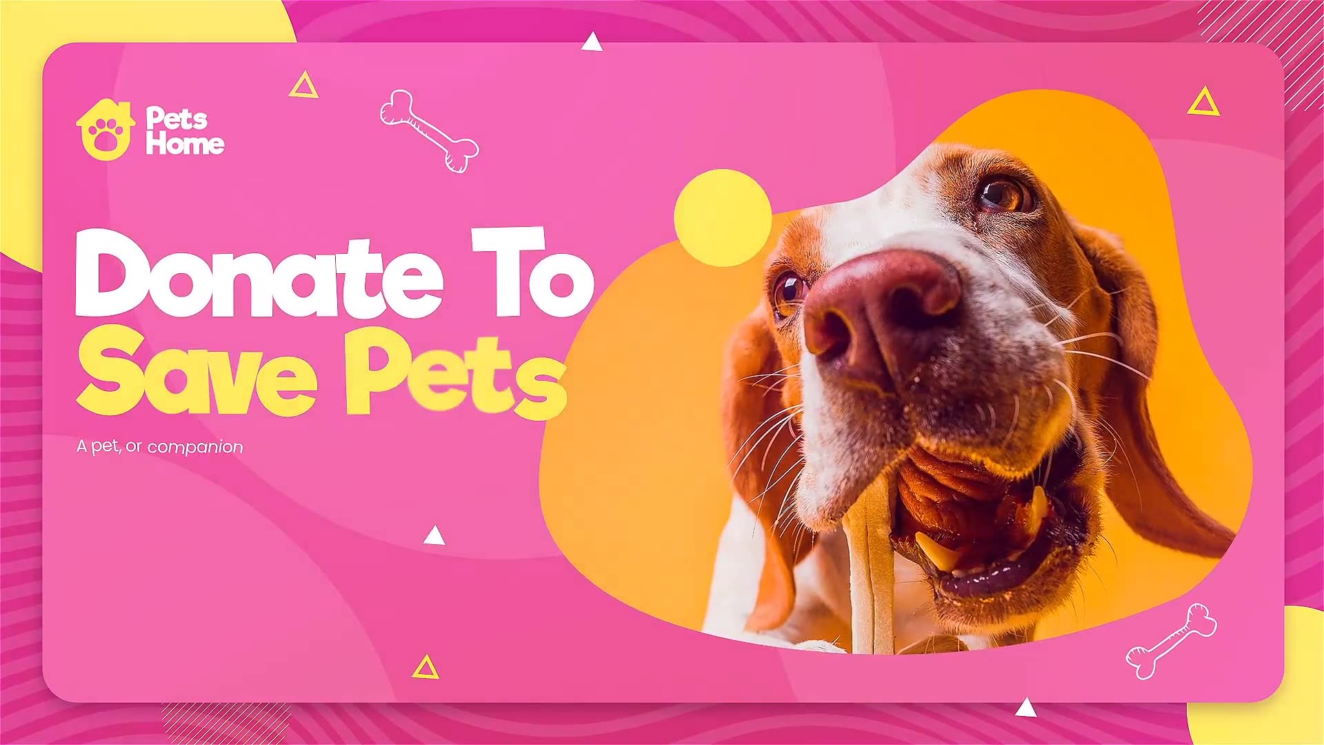 Adopt Me | Pet Promo Videohive 33212319 Premiere Pro Image 7