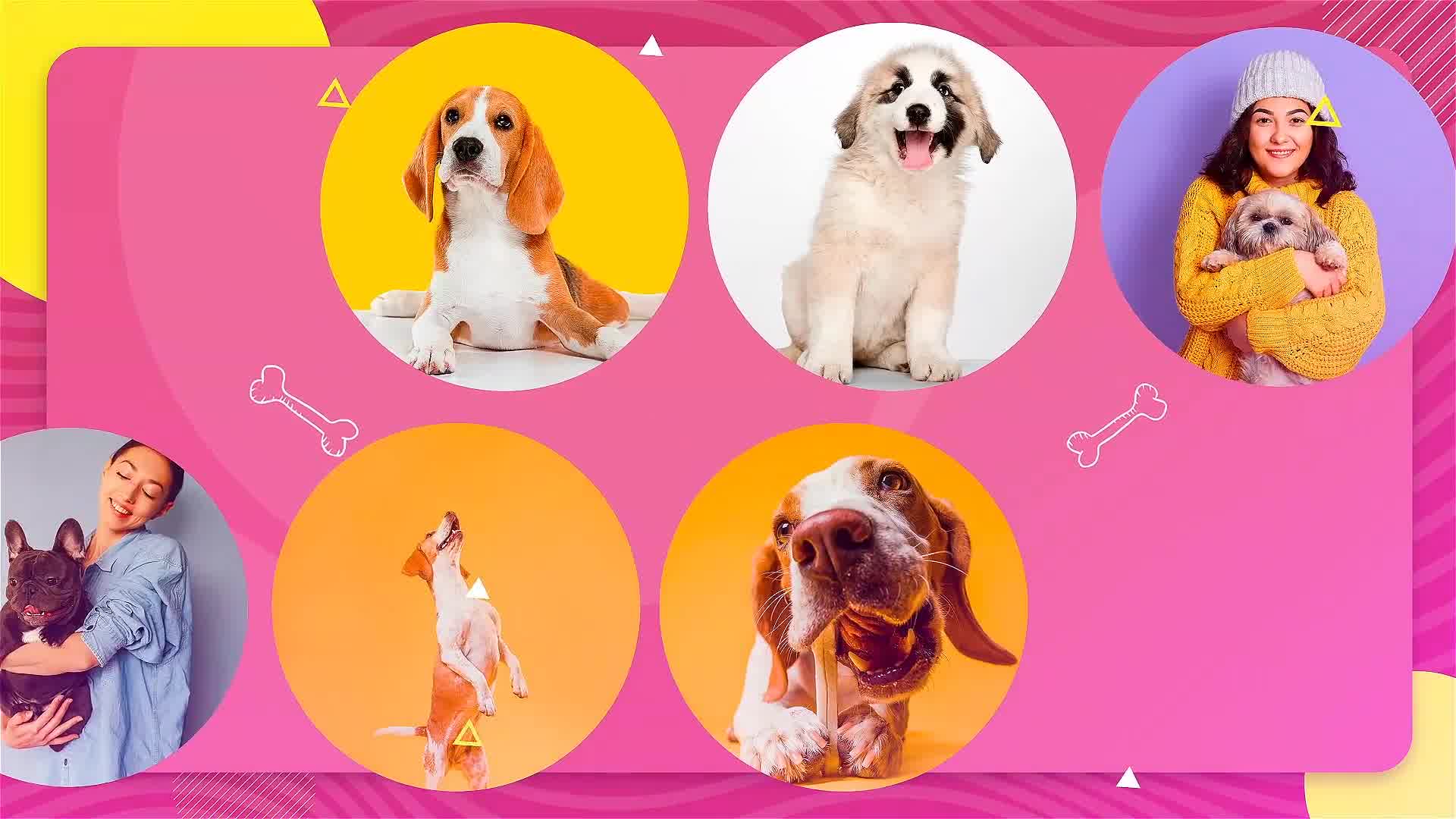 Adopt Me | Pet Promo Videohive 33108039 After Effects Image 10