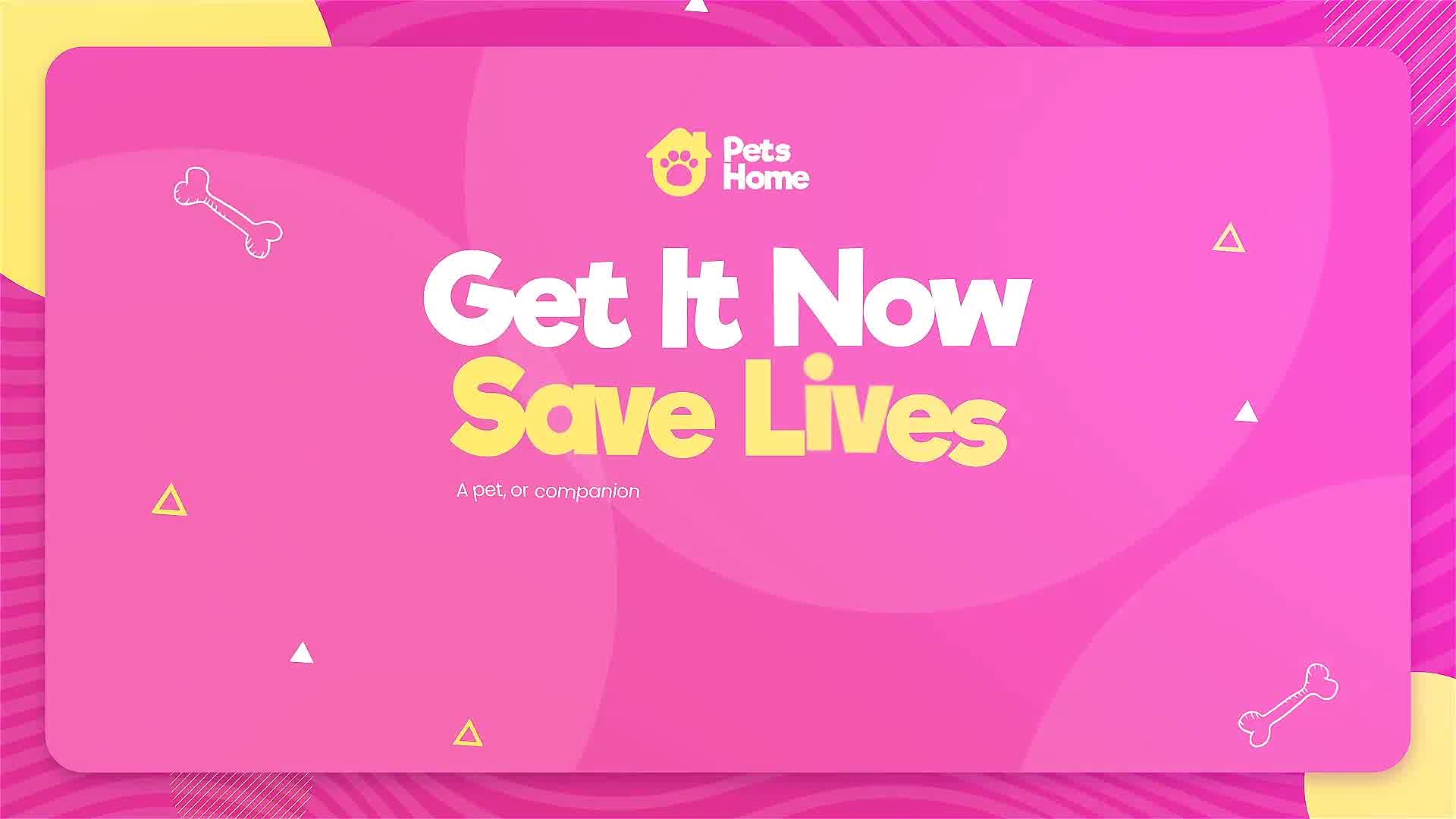 Adopt Me | Pet Promo Videohive 33108039 After Effects Image 12
