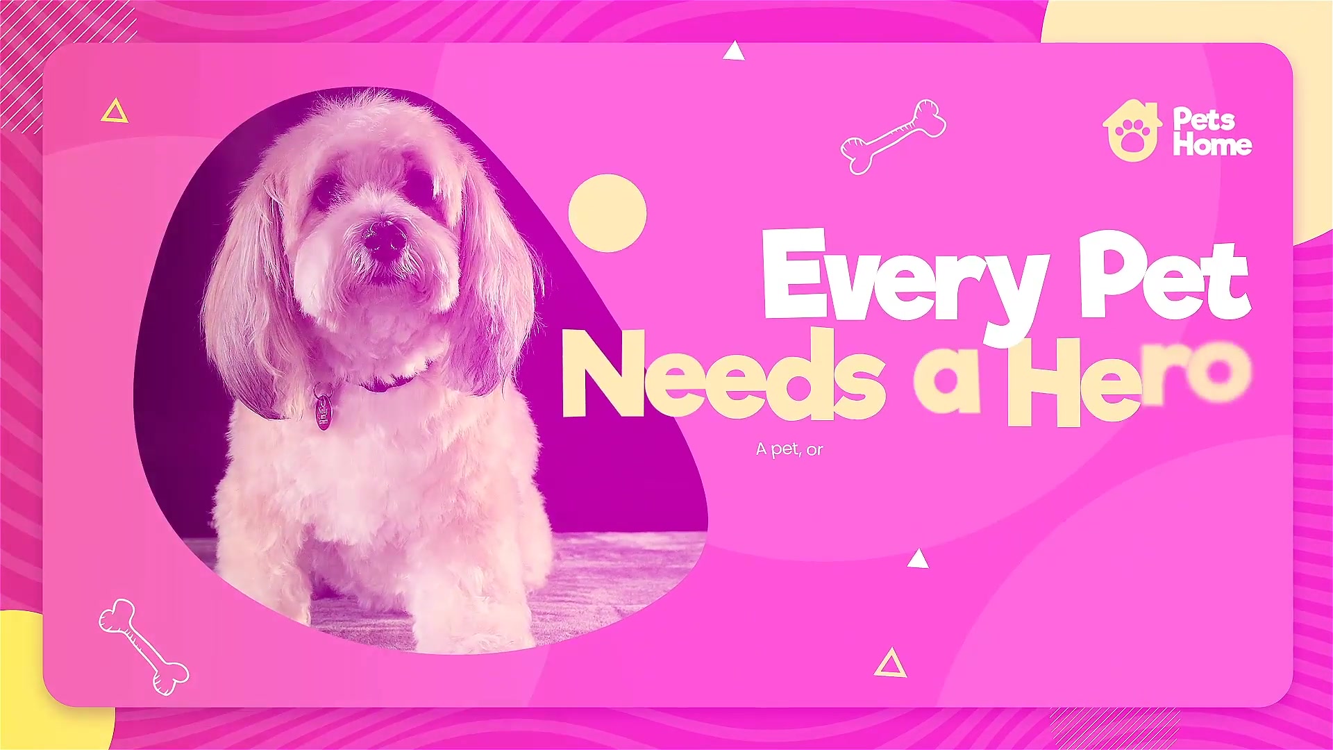 Adopt Me | Pet Promo Videohive 33108039 After Effects Image 3