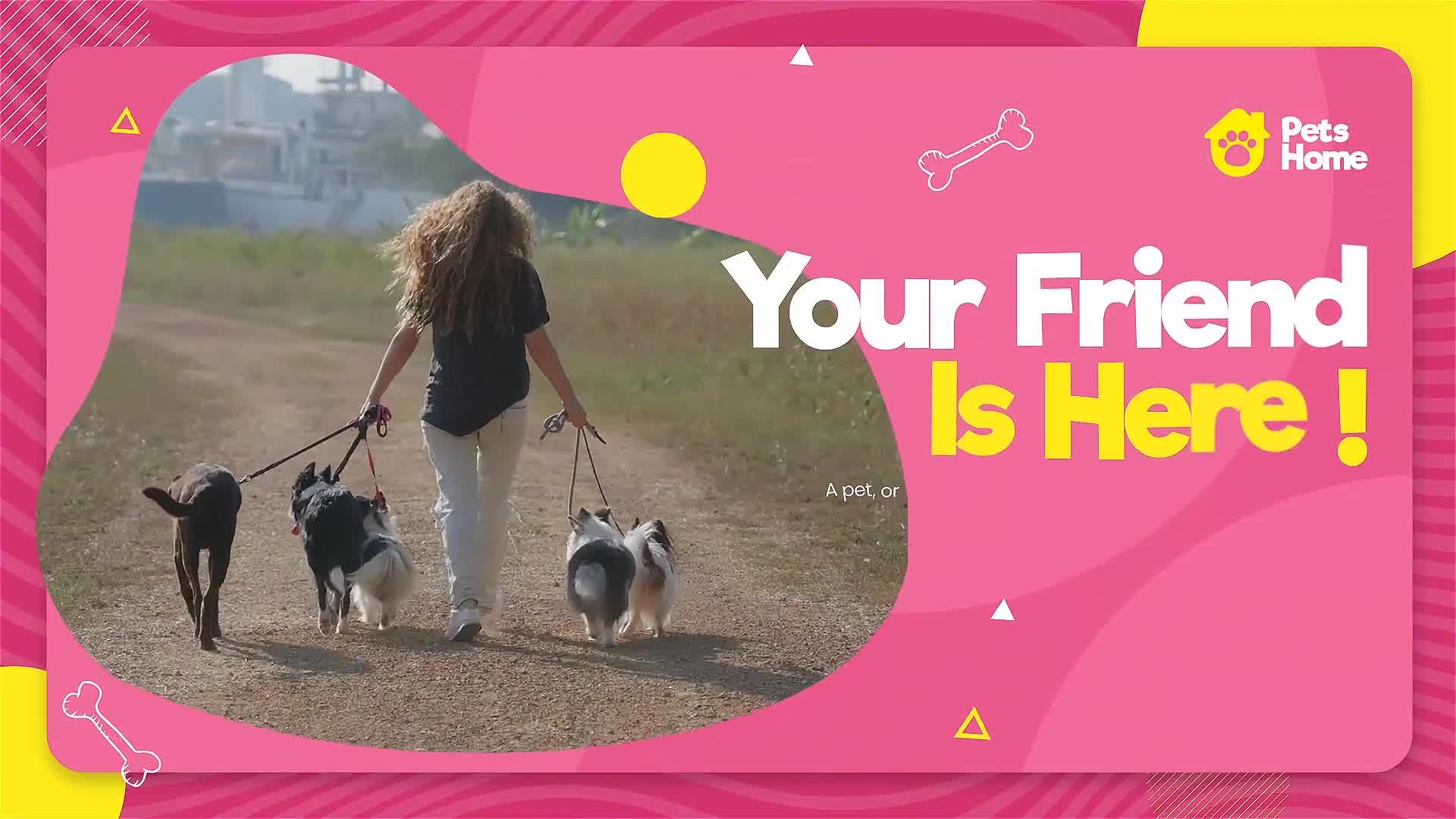 Adopt Me | Pet Promo Videohive 33108039 After Effects Image 9