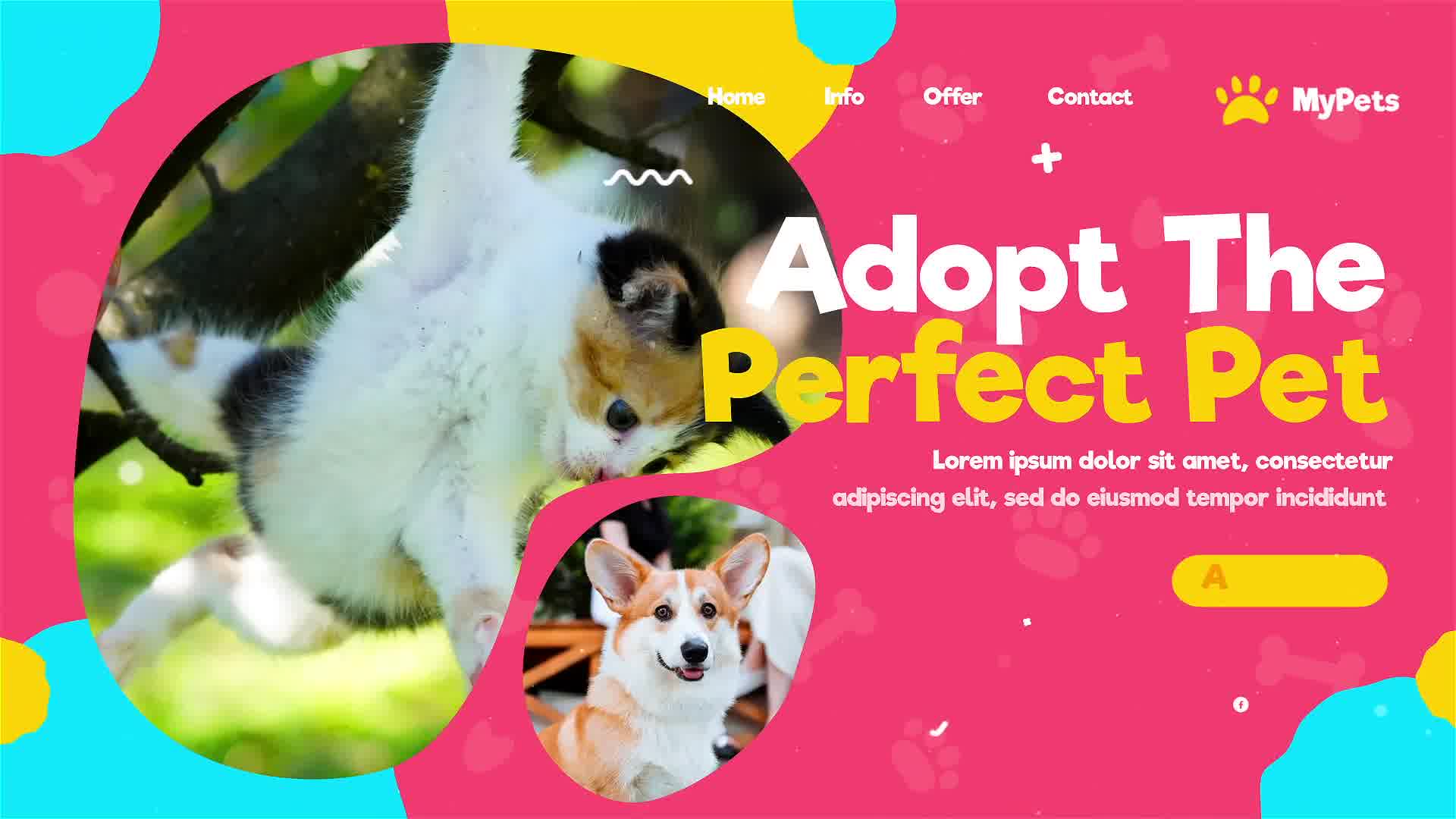 Adopt Me Pets Promo Videohive 35404913 After Effects Image 11