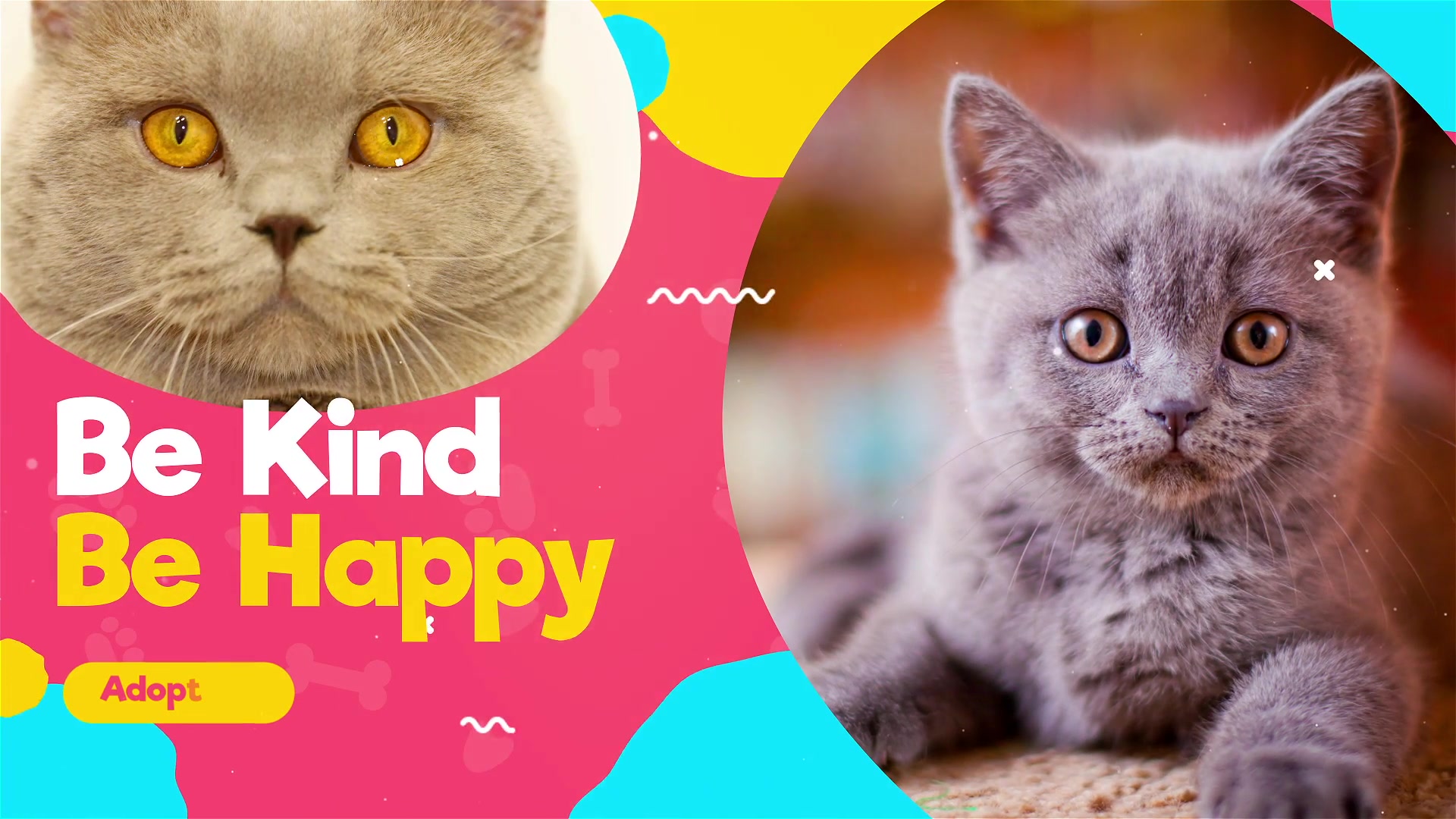 Adopt Me Pets Promo Videohive 35404913 After Effects Image 5