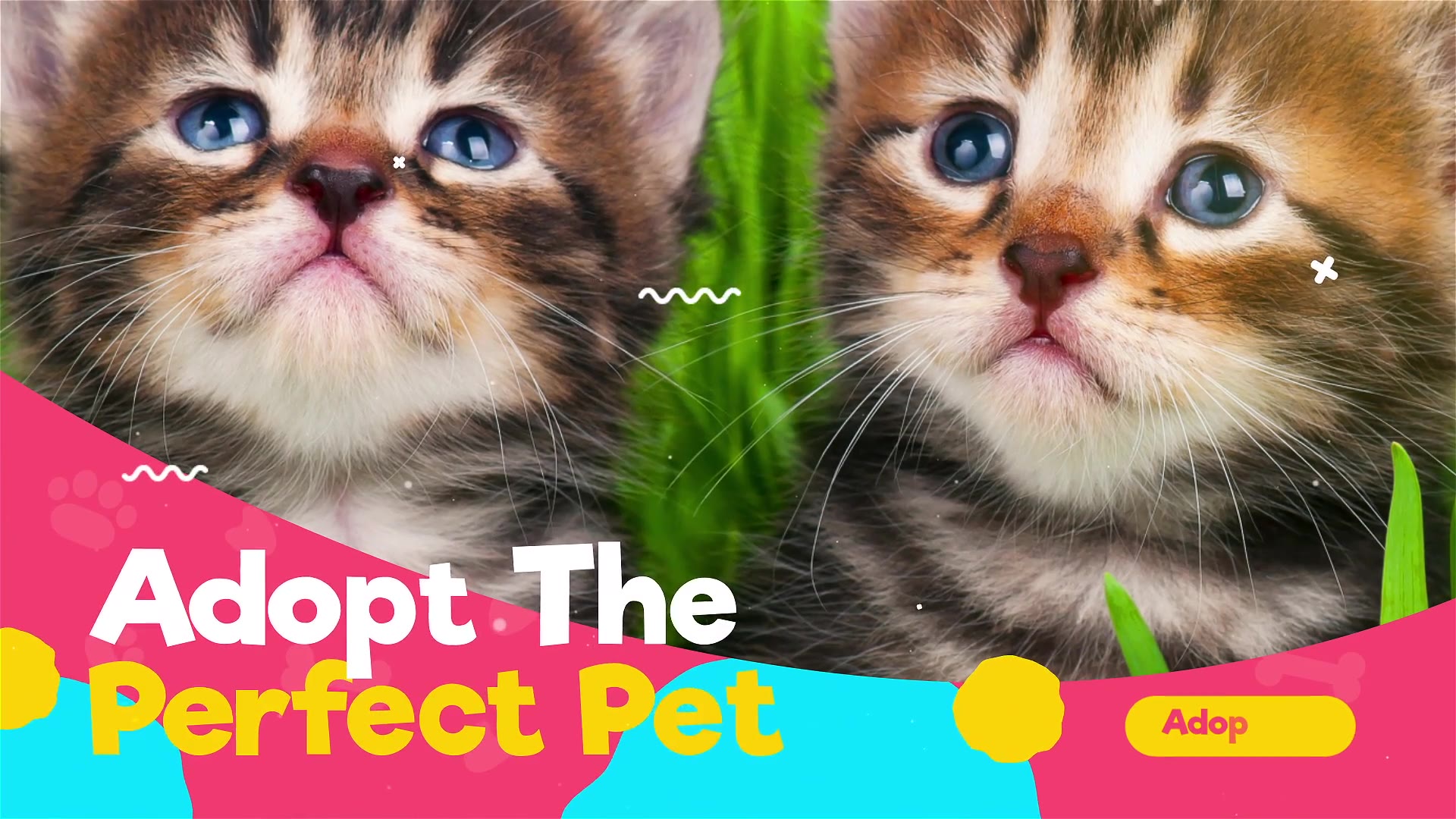 Adopt Me Pets Promo Videohive 35404913 After Effects Image 6