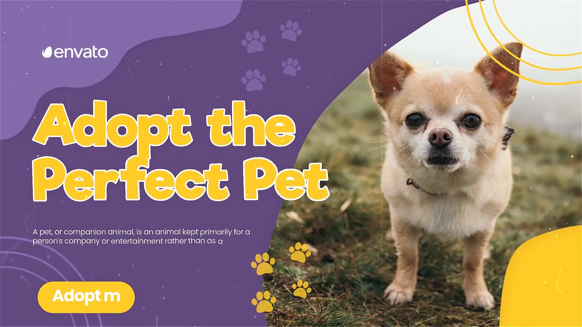 Adopt Pets Promo Videohive 38239208 After Effects Image 2