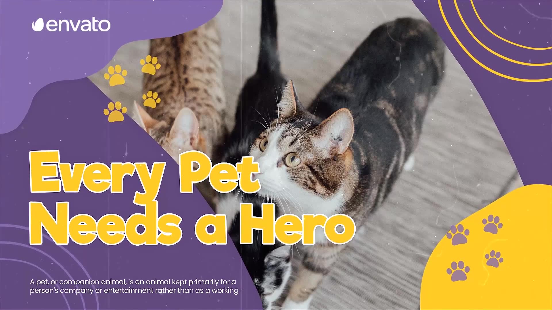 Adopt Pets Promo Videohive 38239208 After Effects Image 3
