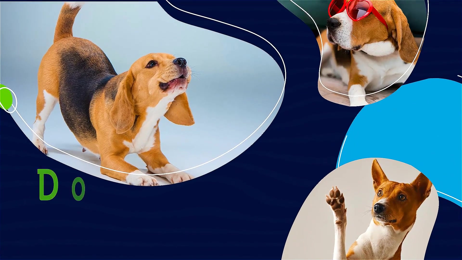 Adopt the Perfect Pet. Be a Hero! Videohive 30388226 After Effects Image 4