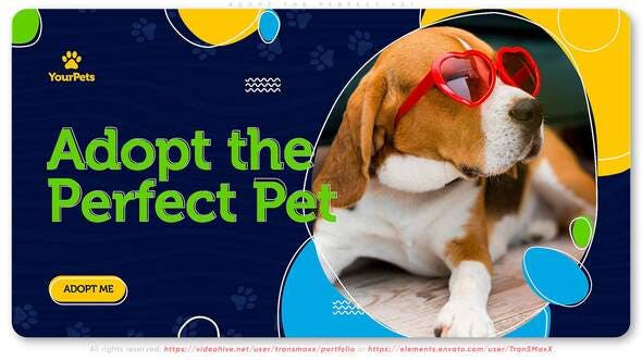 Adopt the Perfect Pet. Be a Hero! - Videohive Download 30388226