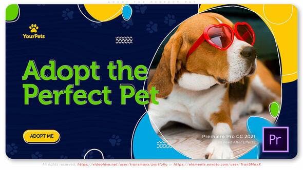 Adopt the Perfect Pet - Videohive 37397475 Download