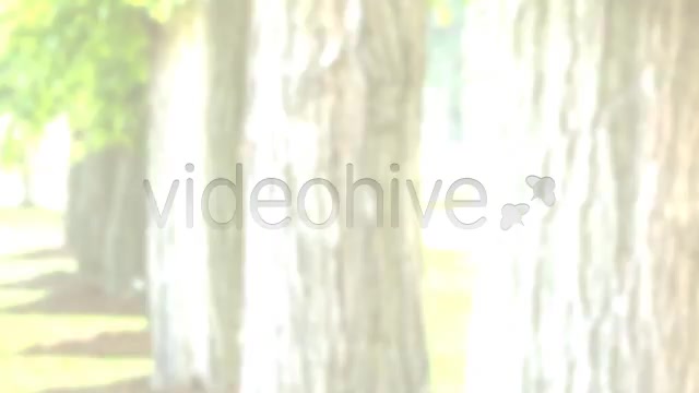 Advanced In and Out Lower Thirds - Download Videohive 5248909