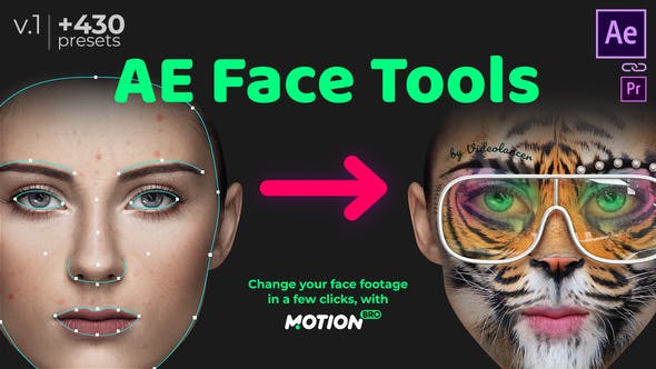 AE Face Tools - 24958166 Download Videohive