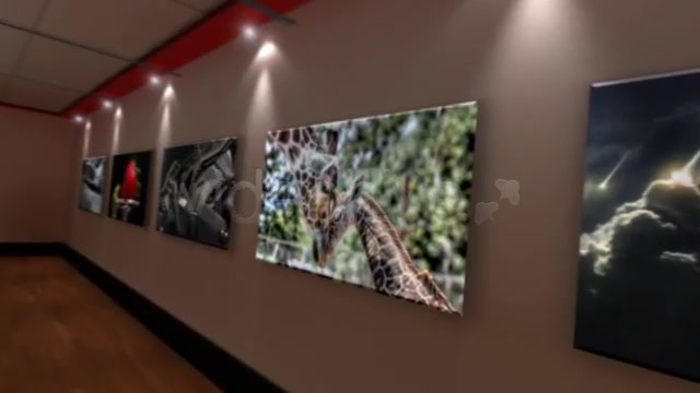 AE Virtual Gallery v 1.0 - Download Videohive 2060209