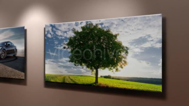 AE Virtual Gallery v 1.0 - Download Videohive 2060209