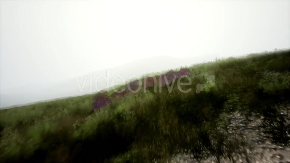 Aerial Green Hills Landscape in Fog - Download Videohive 21531992