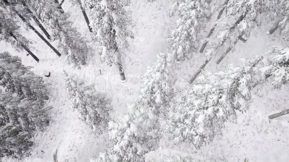 Aerial Snow Covered Trees Landscape - Download Videohive 20883072