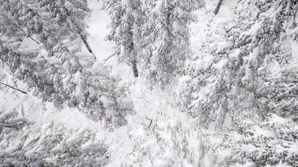 Aerial Snow Covered Trees Landscape - Download Videohive 20883072