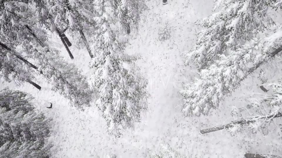 Aerial Snow Covered Trees Landscape - Download Videohive 20883072