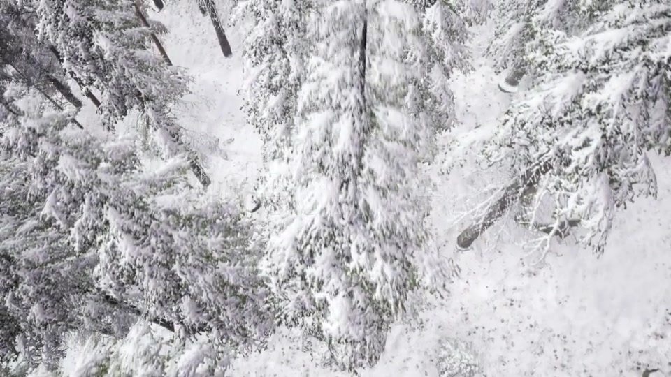 Aerial Snow Covered Trees Landscape - Download Videohive 20883072