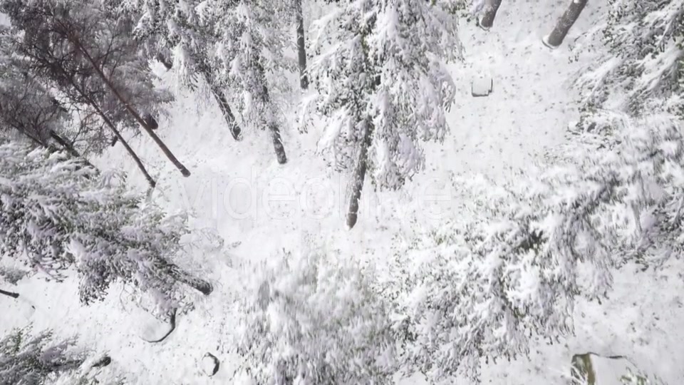 Aerial Snow Covered Trees Landscape - Download Videohive 20883072