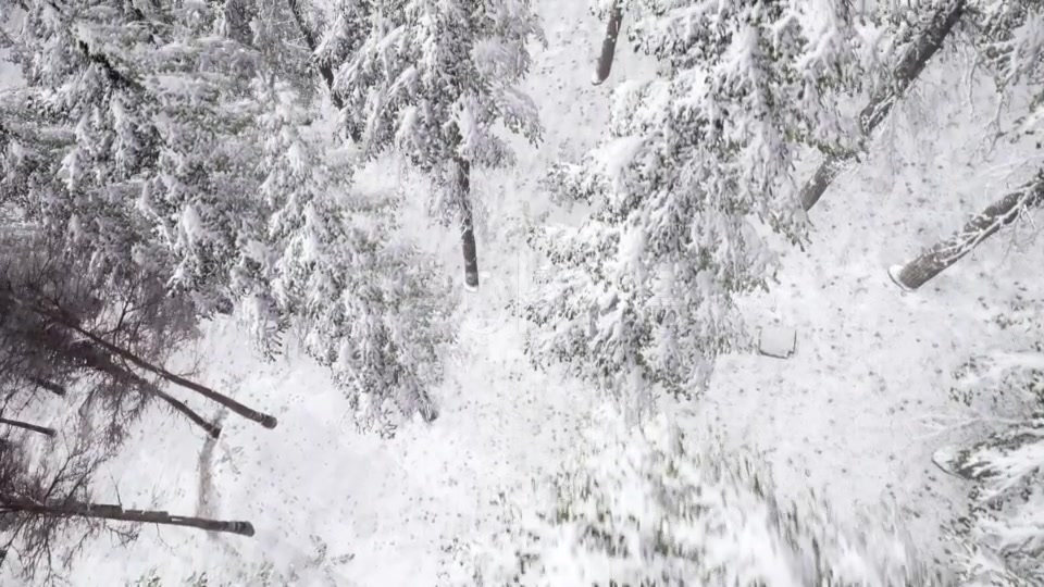 Aerial Snow Covered Trees Landscape - Download Videohive 20883072