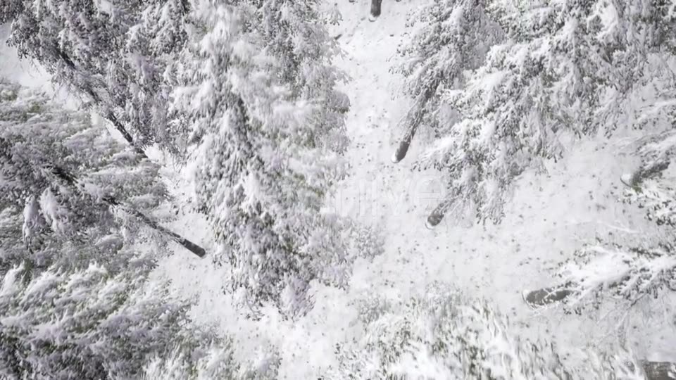 Aerial Snow Covered Trees Landscape - Download Videohive 20883072