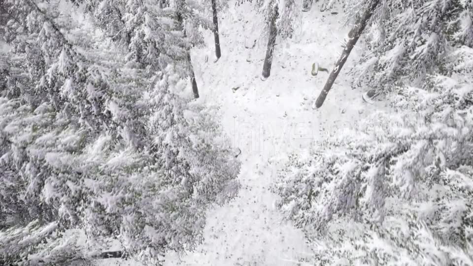 Aerial Snow Covered Trees Landscape - Download Videohive 20883072