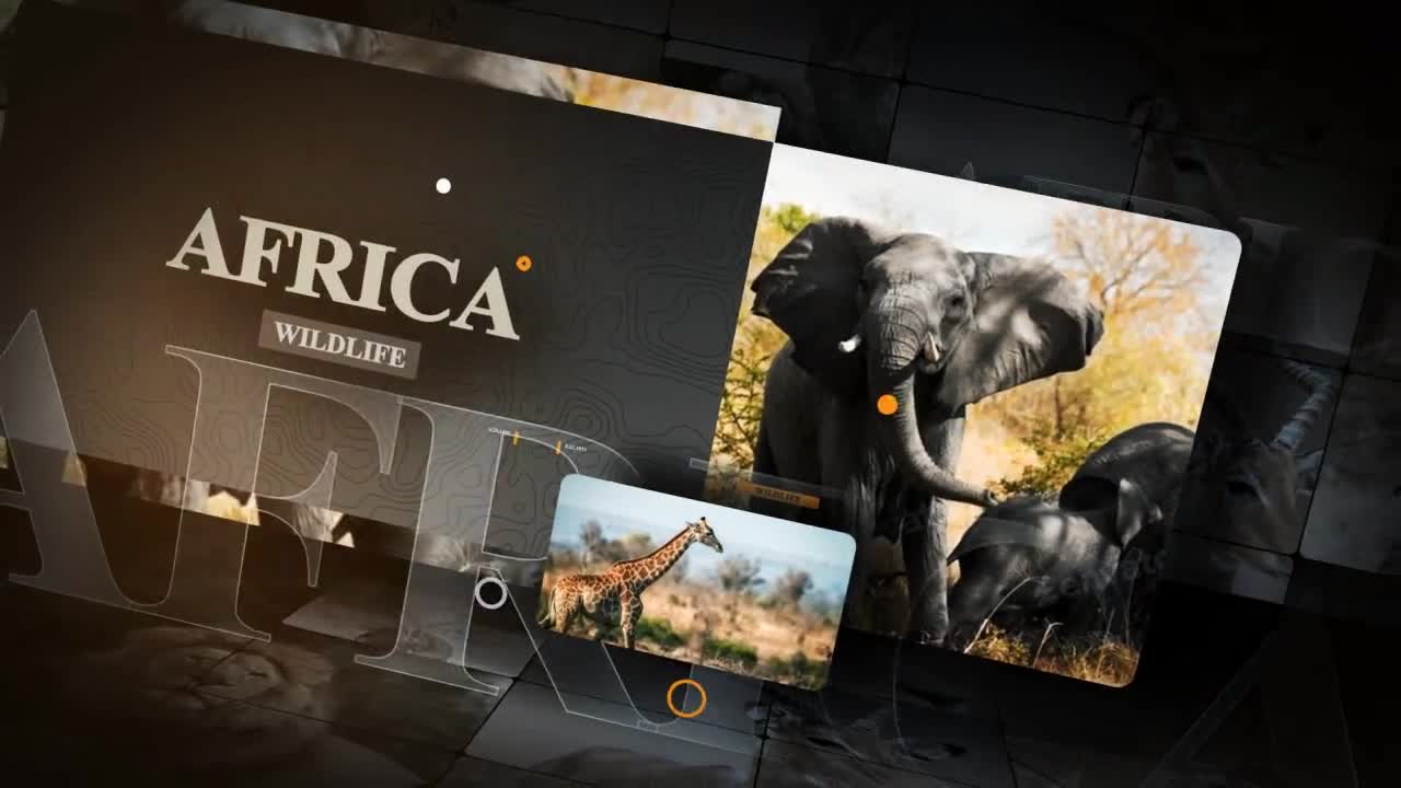 African Animals Videohive 55812768 After Effects Image 1