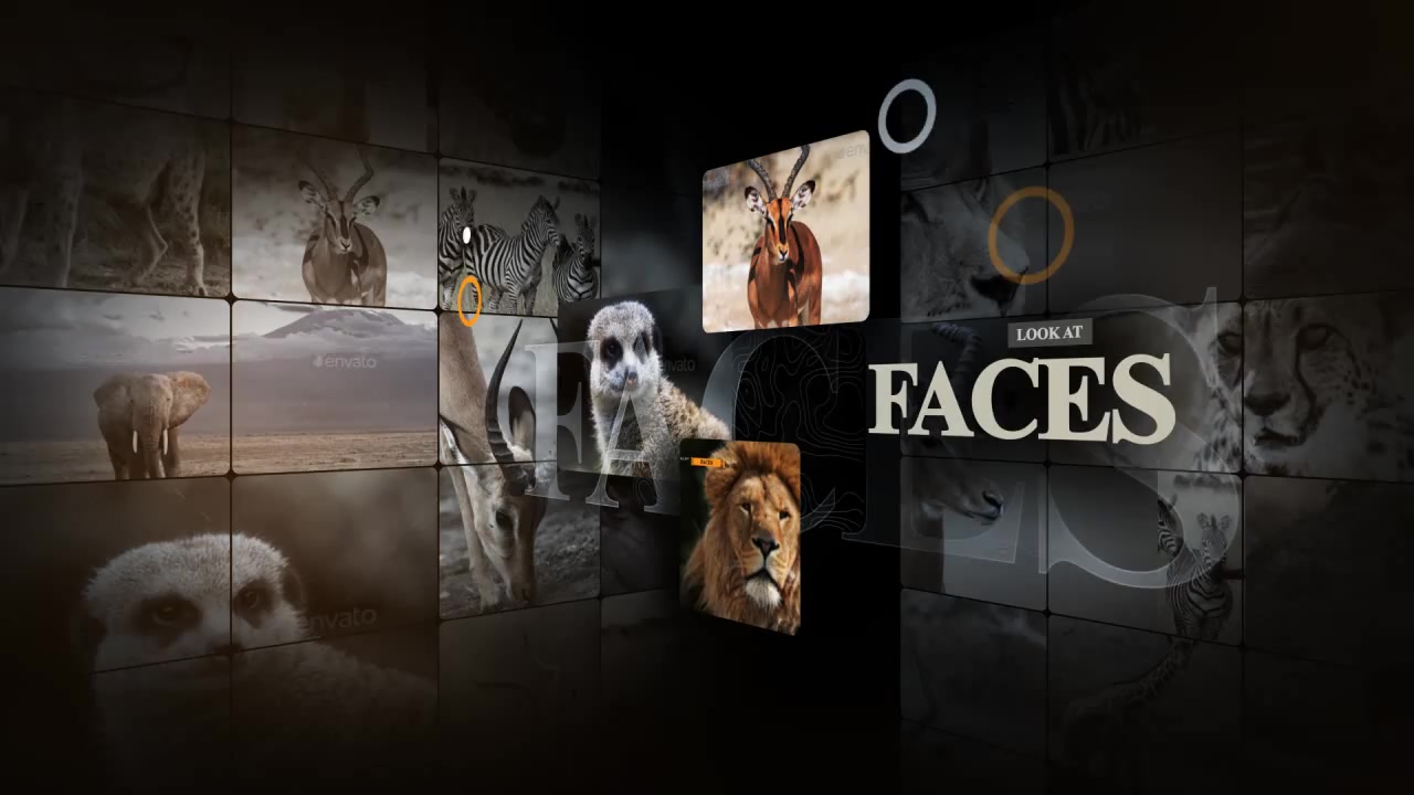 African Animals Videohive 55812768 After Effects Image 11